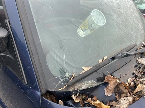 1-RotateNoneFlipNone984c9593-8107-4fb4-8a3b-c286d6bf5817