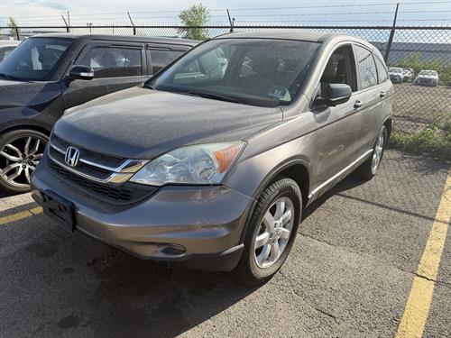 1-RotateNoneFlipNone9933276d-81ff-4e6e-8654-fcee20d8544a