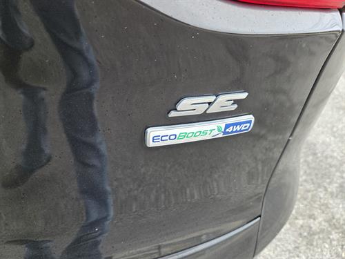 1-RotateNoneFlipNone99aac3cc-acf4-43ae-9a4b-d3f93d8df87c