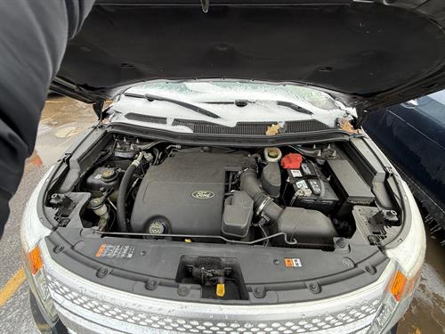 1-RotateNoneFlipNone99cb36d9-a36a-45cc-a6a8-3e828f75edac