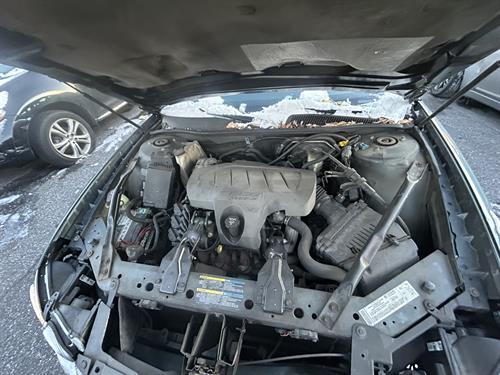 1-RotateNoneFlipNone9a4b8ef2-f5ab-4e91-bf52-46b419c9b7b2