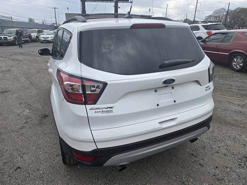 1-RotateNoneFlipNone9c3d5950-a73b-466e-8b8f-347fbef68c9f