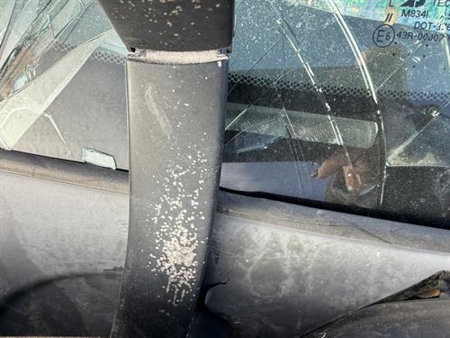 1-RotateNoneFlipNone9dd87ce8-0812-404c-8e84-0a399b250ad6