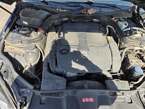 1-RotateNoneFlipNone9e940309-139b-4839-a459-79df7d88001d