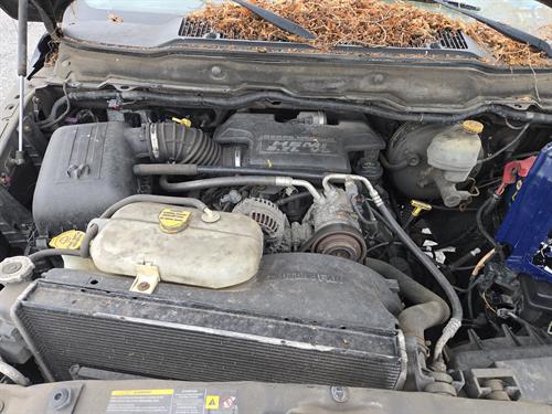 1-RotateNoneFlipNone9ee51d9e-b418-4656-9a53-cdb545e789a4