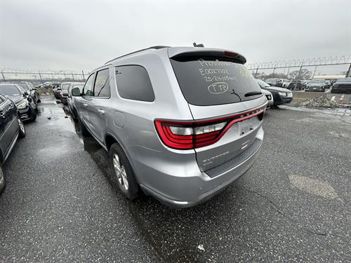 1-RotateNoneFlipNone9f8f55a9-8488-46a5-bd78-d0fddcb8d4a1