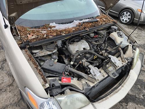 1-RotateNoneFlipNone9fd27404-50df-4ccd-899b-4bb186c0da0f