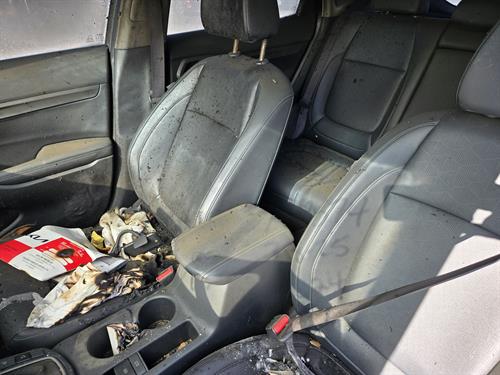 1-RotateNoneFlipNonea014f001-e2ae-4c75-a024-78854794f4de