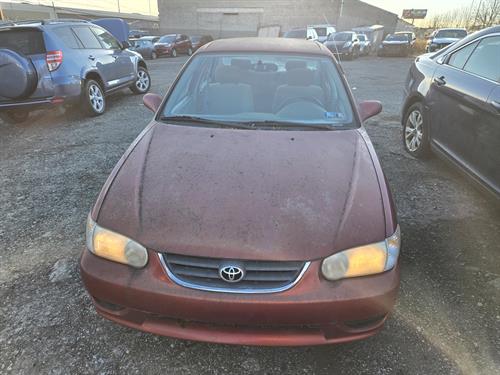 1-RotateNoneFlipNonea38febe7-fe45-4bb2-8428-299c36cf51b7