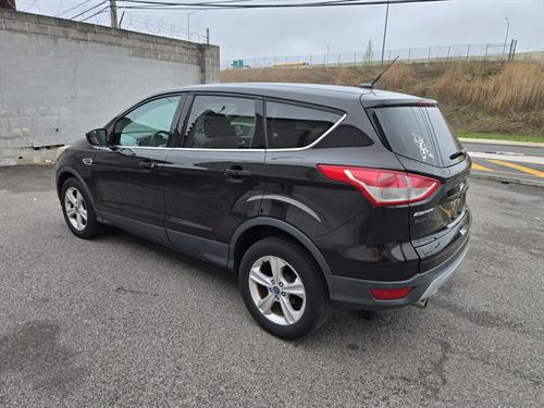 1-RotateNoneFlipNonea7c368f6-fbe5-4312-ad68-437f6e346d87