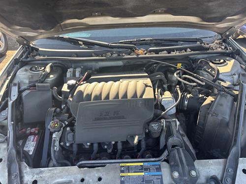 1-RotateNoneFlipNoneaf07a5de-ed82-4eeb-8dee-070eec216254