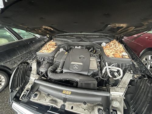 1-RotateNoneFlipNoneafa842e5-2446-4c38-b896-bf584e3edaac