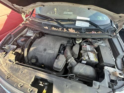 1-RotateNoneFlipNoneafe17973-8074-4fb2-b97e-43a9cdc47fc5