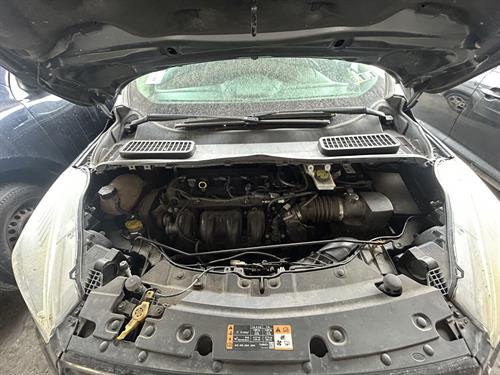 1-RotateNoneFlipNoneb1e3ace0-52ee-4b20-a089-b5a2b45535d9