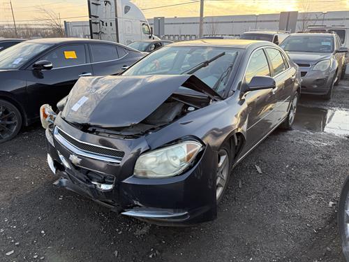 1-RotateNoneFlipNoneb37b0863-4eed-4b84-ac37-01b7c3a49c57