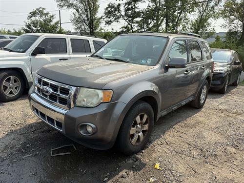 1-RotateNoneFlipNoneb37c64d9-b78f-4da6-8a42-f79fbd0766af