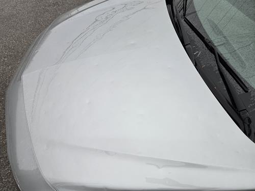 1-RotateNoneFlipNoneb454f556-c80f-4483-8b66-eb303df2368a