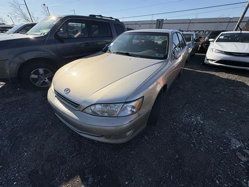 1-RotateNoneFlipNoneb46b9761-5d2b-4bfe-aefa-02ced7196b5f