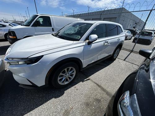 1-RotateNoneFlipNoneb473cc34-97c5-4c36-819e-4d8964ca6a71