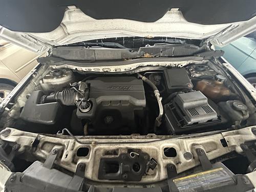 1-RotateNoneFlipNoneb61b2078-b324-409e-85e5-d2edd9e8b92b