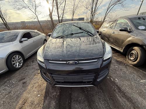 1-RotateNoneFlipNoneb70bb0fd-811a-41b2-98f0-447542af6d3d