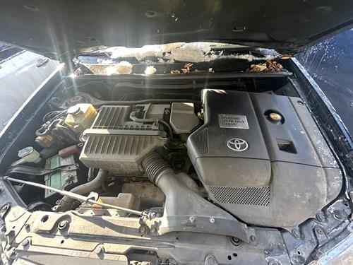 1-RotateNoneFlipNoneb72109c0-597f-4ea7-b49e-ff0601a75ed8