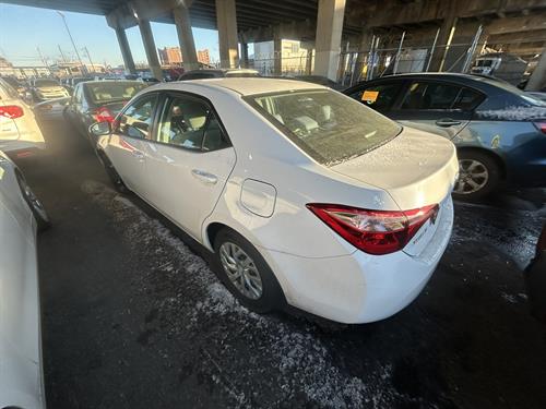 1-RotateNoneFlipNonebce00673-00d5-47f3-9c8c-cb9f75a95fb6