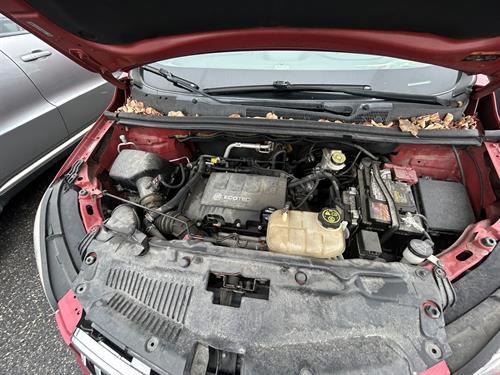 1-RotateNoneFlipNonebe063097-c77e-40d6-819d-96fecb5597c7