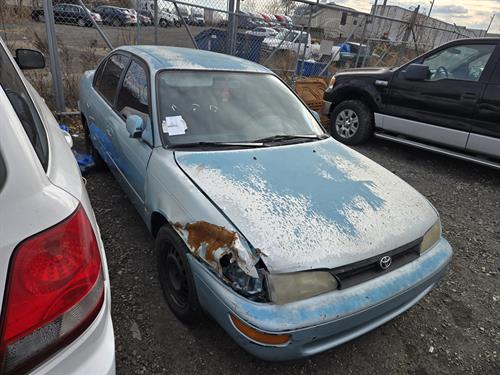 1-RotateNoneFlipNonec4b30b46-a683-41e4-b990-02249b394ee6