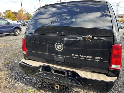 1-RotateNoneFlipNonec4e26c3b-2cd5-4201-899e-9bd7de37f955