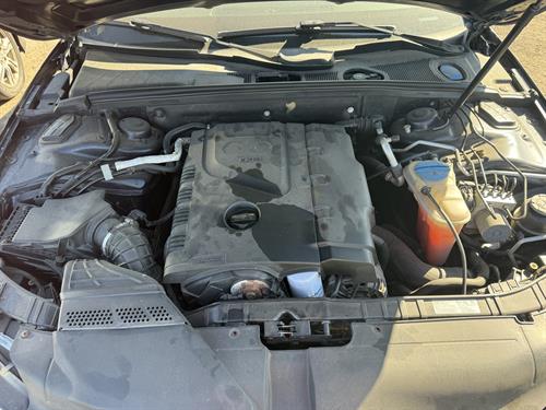 1-RotateNoneFlipNonec569daff-b8dd-4e1b-9118-4eade427767f