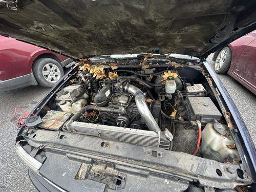 1-RotateNoneFlipNoneca191eb4-24c9-431e-848c-c975bb39392b