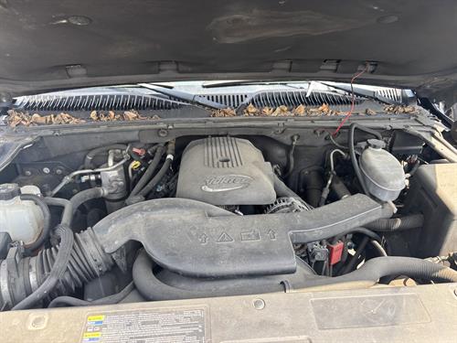 1-RotateNoneFlipNonecb57bdef-bf0c-4feb-8a8e-c3af9ede8e39