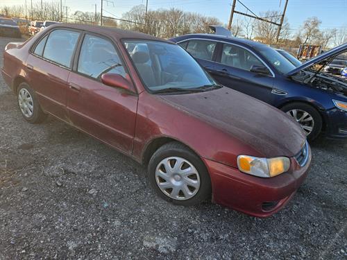 1-RotateNoneFlipNonecbf046cf-0697-4110-b79f-871fbc876451