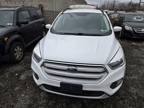 1-RotateNoneFlipNoneccaaa511-9f12-4c66-991c-0a2b21e95551