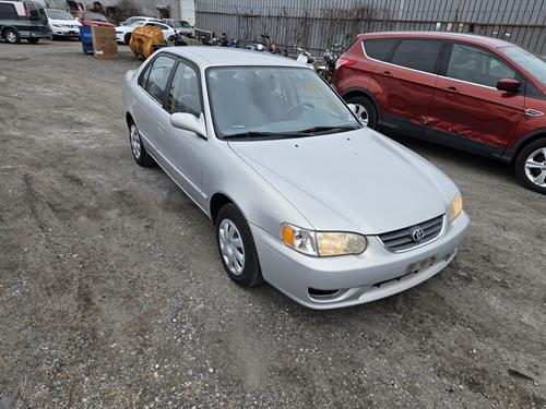 1-RotateNoneFlipNoneccb6f7fe-a3a0-47e2-ab85-49e172628c7b