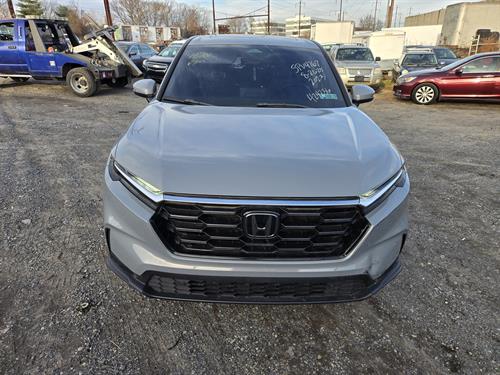 1-RotateNoneFlipNoneceb15da1-1252-4971-b930-4a3c12d54ab0