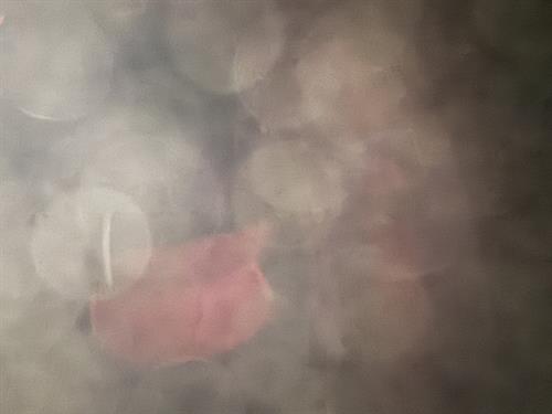 1-RotateNoneFlipNonecfb18c1c-cb69-4b29-9673-38e19f160055