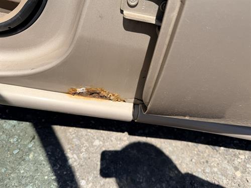 1-RotateNoneFlipNoned0cc6bb4-1747-4f53-b58c-d0e3e12ecbfd