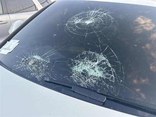 1-RotateNoneFlipNoned0dd9dbf-560e-441d-a1c3-1a0368be45fc