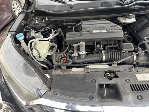 1-RotateNoneFlipNoned10563f2-7a4c-4b7f-a150-93071488e583