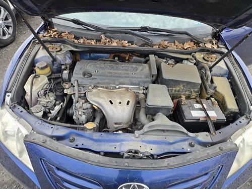 1-RotateNoneFlipNoned1ef03b3-5992-406a-a870-a6c88fdd87b6