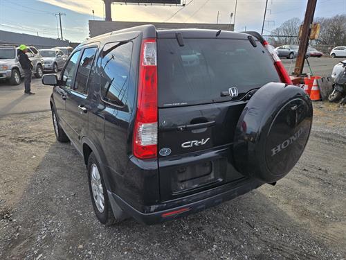 1-RotateNoneFlipNoned1fc19d2-110b-4664-aaae-6578f8247feb