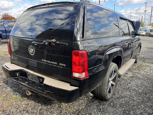 1-RotateNoneFlipNoned2c10869-7f83-4ed9-ac50-727ba75a9486