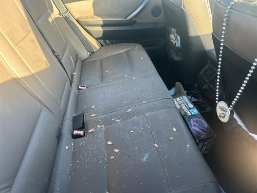 1-RotateNoneFlipNoned491663d-82d9-42a0-a95e-e31e986fd5ad