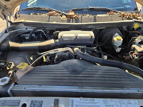 1-RotateNoneFlipNoneda051049-b401-41b8-80ff-92333dd5525d