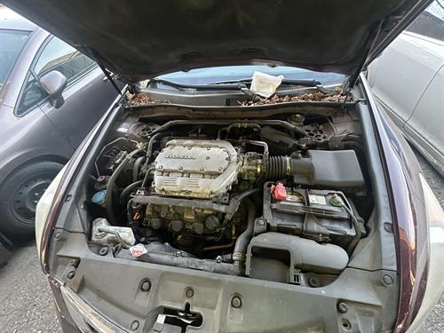 1-RotateNoneFlipNoneda3a4939-3e28-4511-a0dd-79e24b53653c