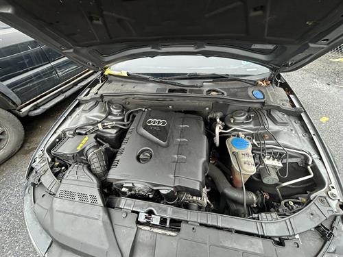 1-RotateNoneFlipNoneda8fff66-9ab8-407e-b713-20253411629a