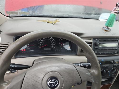 1-RotateNoneFlipNonedb00b846-9b93-465a-b434-600833e5058b