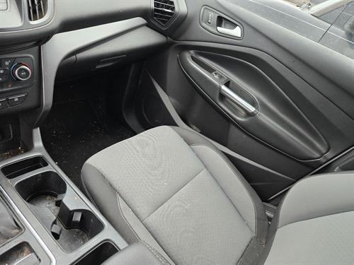 1-RotateNoneFlipNonedbec31f6-b0cd-48ff-85b0-8de5b62750e1